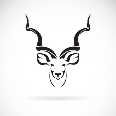 page logo