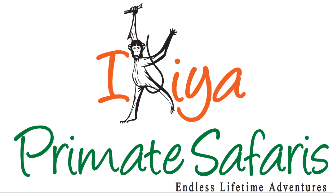 page logo