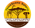 page logo