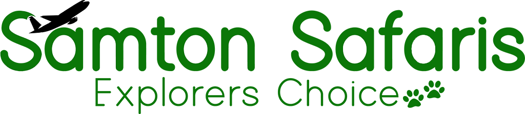 page logo