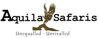 page logo