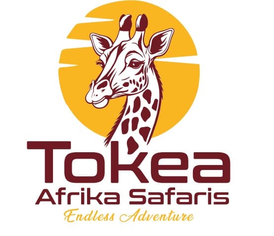 page logo