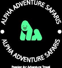 page logo