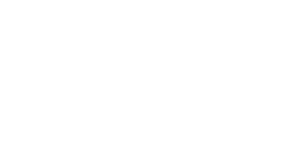 page logo