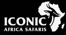 page logo