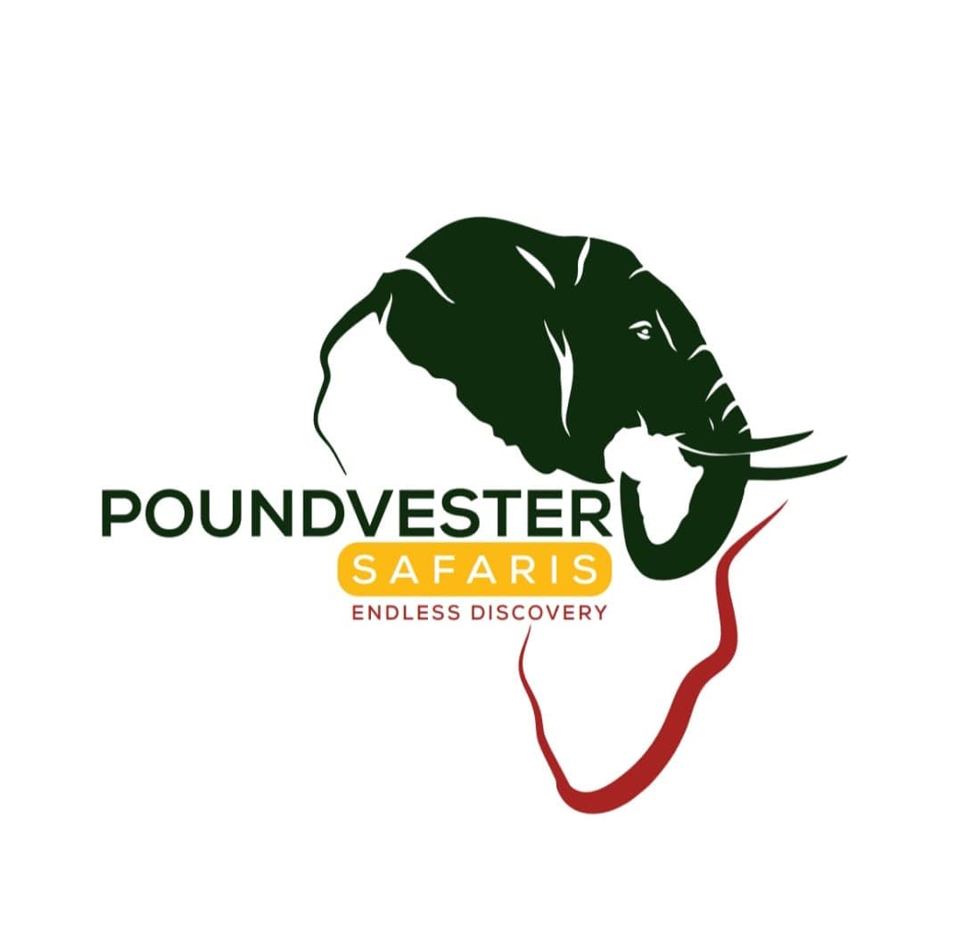page logo