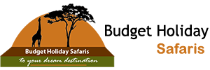 page logo