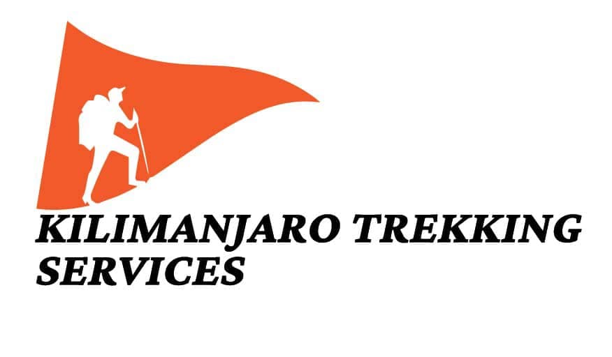 page logo