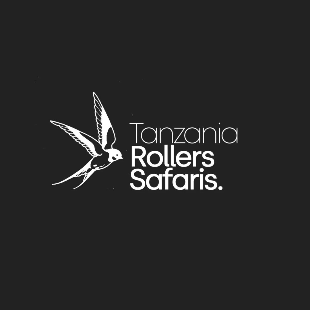 page logo