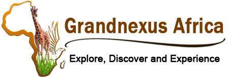 page logo