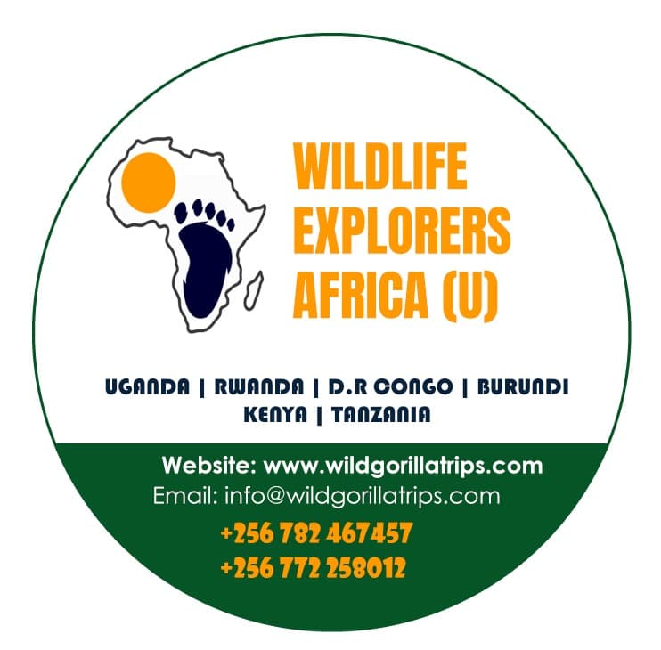page logo