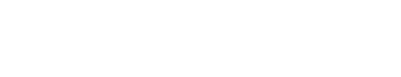 page logo
