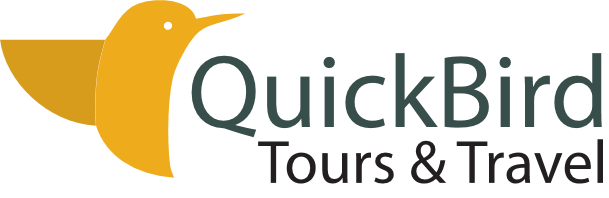 page logo