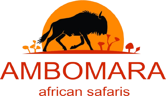 page logo