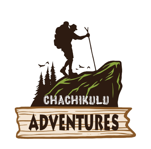 page logo