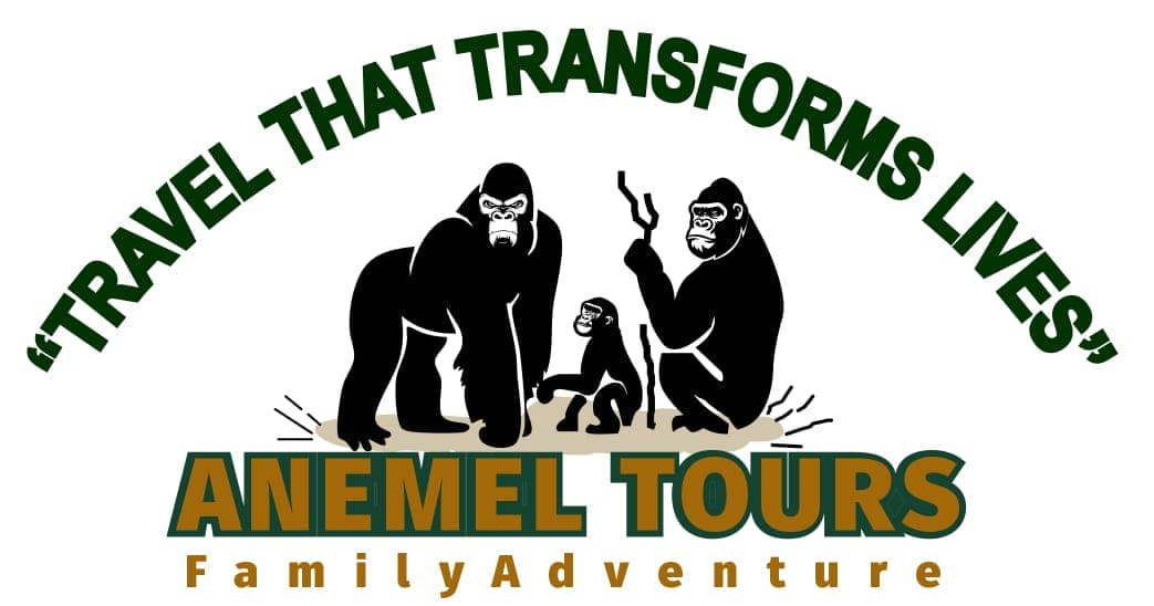 page logo