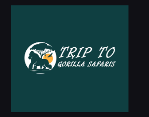 page logo