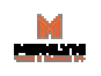 page logo