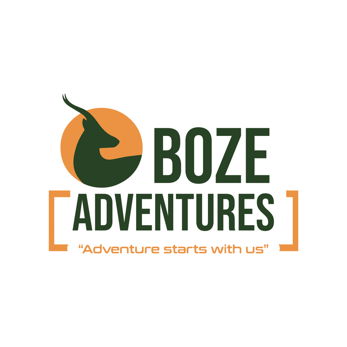 Check Boze's Boze Adventures Payments